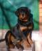  Jade - 5 months