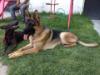 PAUL Y CHATA