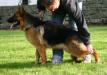 Wanta 10 months old