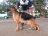 RICO @ 9 Months before Ooty Show