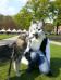 At Elf Fantasy Fair