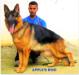 RICO @ 13 Months