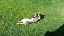 Stretching in the sun