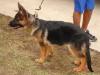 Fayza 20090307