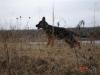 Fayza 20090307