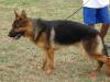 Loki 20090307