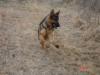Loki 20090307