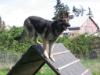Jocie