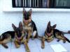 Bean con 2 de sus hermanas