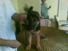 12wks