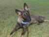 18 weeks