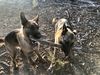 branch manager