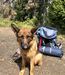 After a long hike, time for a break!