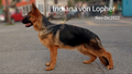 Hermosa Indiana Von Lopher 
