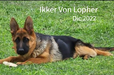 Ikker Hermano de  Indiana Von Lopher 
