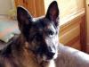 Gryza 11 years old( 2006)