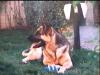 Bonnie De Belunaren 6