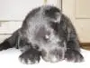 DEEP SLEEP 