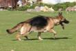 Candy on the Move