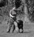 Alfie and Jackson in B - Heeling
