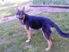 Jodi Le at 6 months old