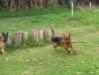 Thor, 15.04.2012