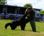 Training TZ Kreuzgrund