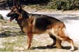 Lathi de Franquieres Picture