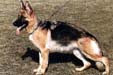 Halla von Arline Picture