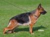 Farina vom Zellwaldrand Picture
