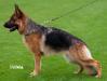 Jacky vom Thermodos Picture