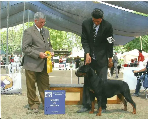 Jane Didmiestis Padilla