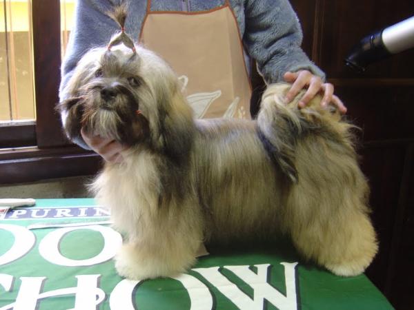 Strong Presence Gabriela