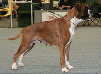 Beverly Von Khanbalic