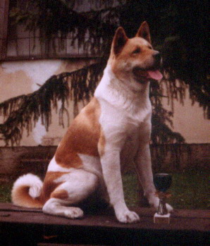 PL CH Datori Spod Szrenicy