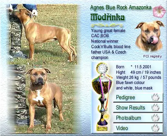Agnes Blue Rock Amazonka