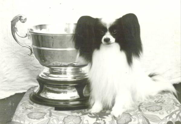 ENG CH Nouveau Lord Of The Rings