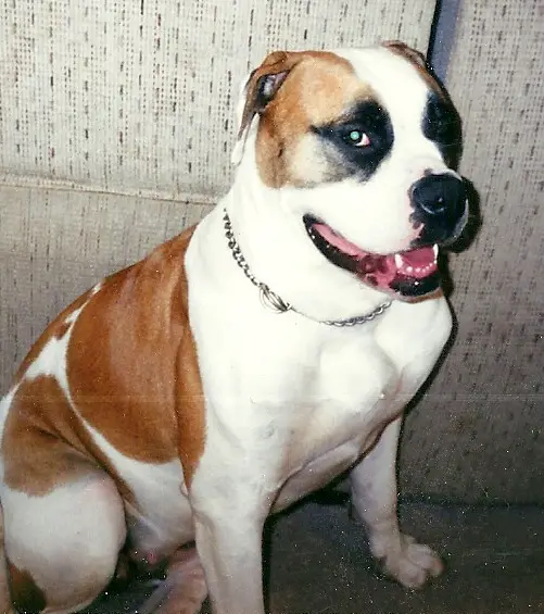 Rivera's Sasha Blossom