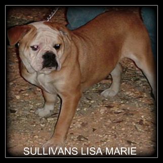 Sullivan's Lisa Marie