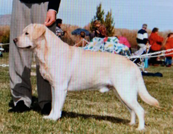 CH MACH Prospect's Slam Dunk