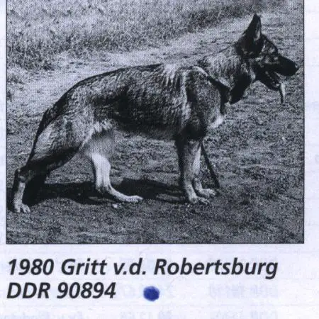 DDR SGRN 1980; V1- Gritt von der Robertsburg