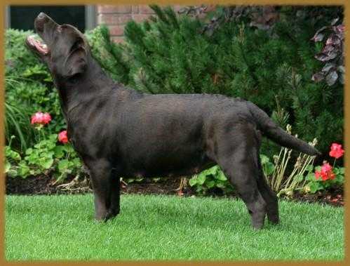 Epochs Kate Spade At Visage