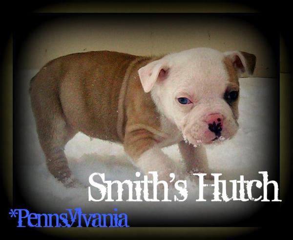 Smith's Hutch