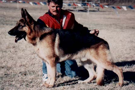 VA4 (USA) Sillo vom Wiesenborn