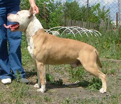 CH RUS Aller Best Irbis