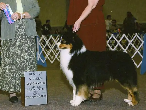 Mill Creek'S Cutting Edge