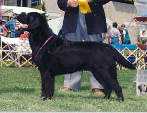 Maplecrest Chablais Nordic