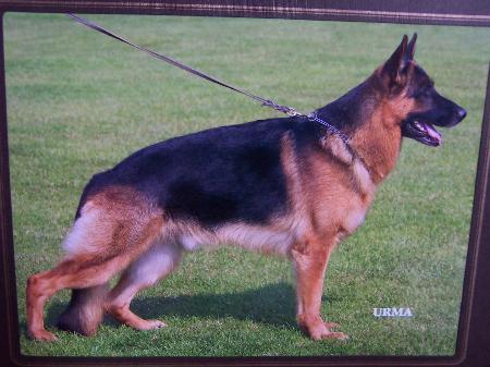 V Logo vom Sandstein