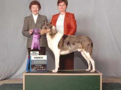 CH, NE/NC NightStars Sky Walker