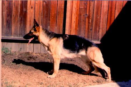 Bilka vom Haus Lobenswert